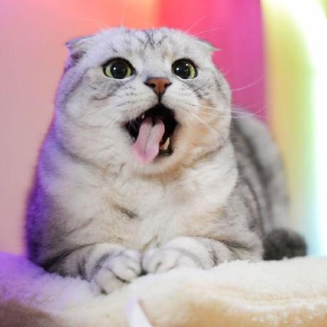 Github Deeba Zcs Maxim - Vintage Art Collection - 8K Quality