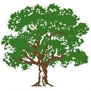 Vitus213 Vitus Github - Best City Wallpapers in 8K