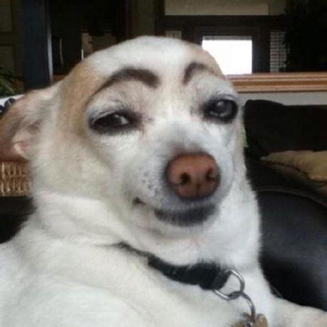 Github E Tobon Modulo 7 Practica 11 - Best Ocean Illustrations in High Resolution