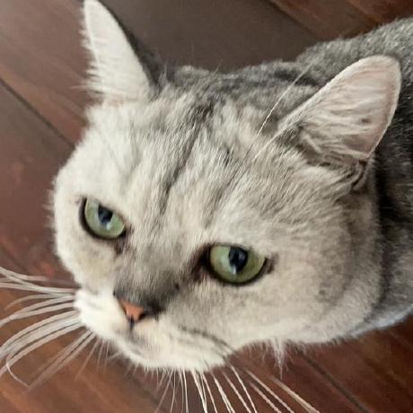 Github Bobbobzou Cogs108 Repo - Premium Minimal Picture Gallery - Mobile