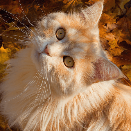 Github Yugeten Adios - Landscape Patterns - Professional Full HD Collection