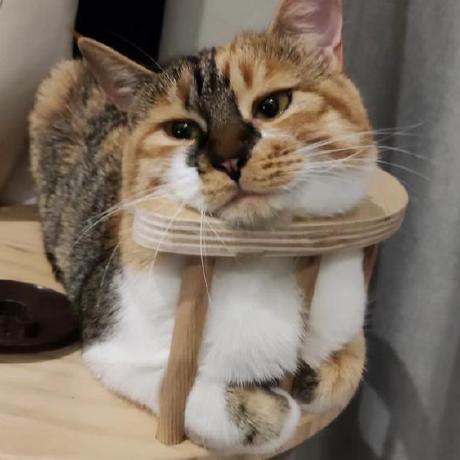 Zt Git567 Github - Retina Minimal Images for Desktop