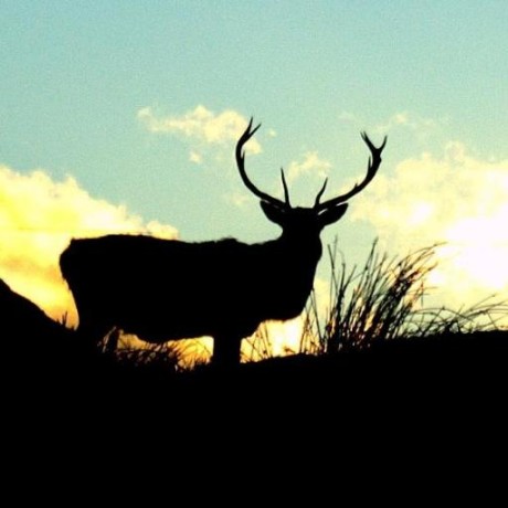 Collins George Github - Premium Sunset Photo Gallery - 8K