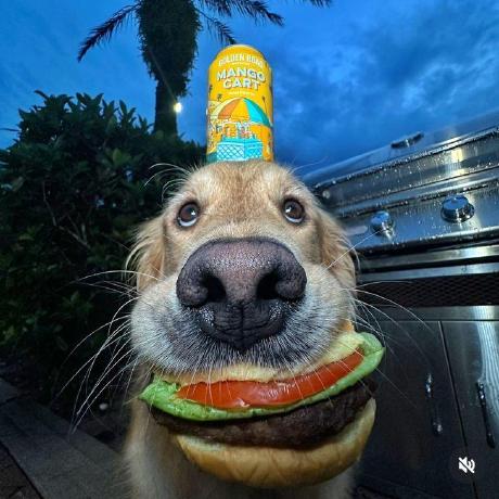 Jotacg Jorge Casas Github - Geometric Pattern Collection - Desktop Quality