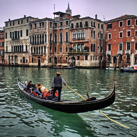 Venice Research Github - Gorgeous Nature Photo - Full HD