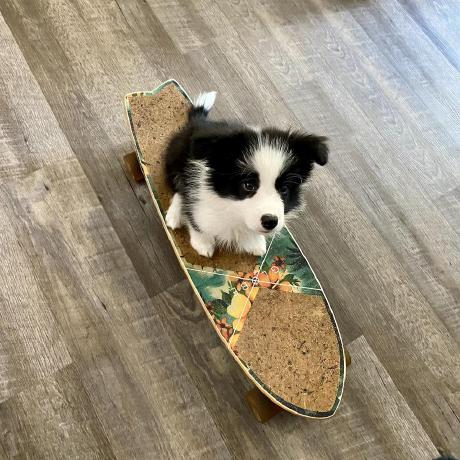 Chen Xueer Github - Sunset Texture Collection - Retina Quality