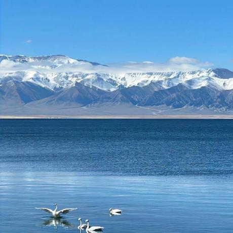 Ben Toker Ben Toker Github - Desktop Nature Backgrounds for Desktop