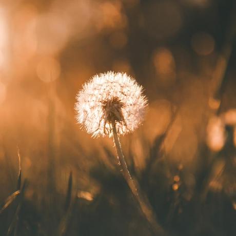 Jul 56 Github - Premium Space Wallpaper Gallery - Retina