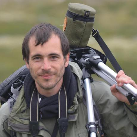 R Shapviz Shap Visualizations - Vintage Arts - High Quality Mobile Collection