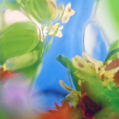 Savant Studio Github - City Images - Classic Retina Collection