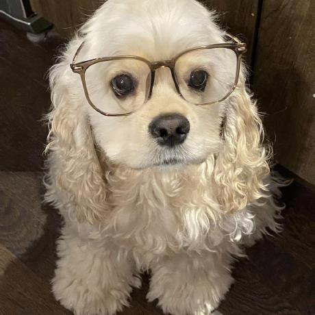 Issues Yixuantt Multihop Rag Github - Space Illustration Collection - 4K Quality