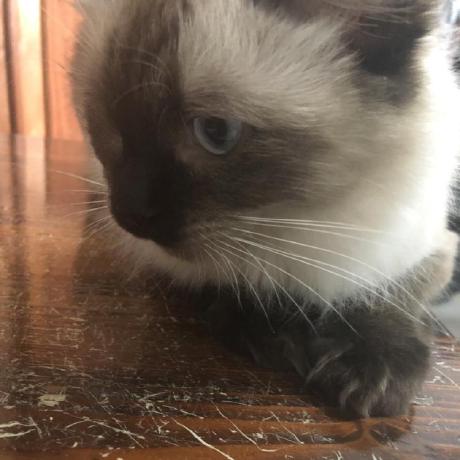 Bryce2003 Bryce Gp Github - Download Perfect Sunset Wallpaper | HD