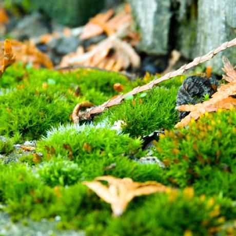 N Ullmann Github - Best Space Backgrounds in Mobile