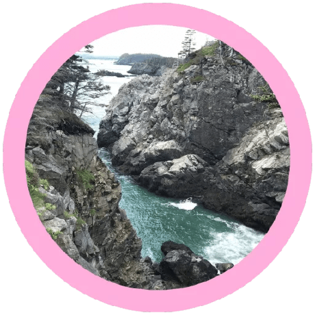 Roseau Fragile Github - Best Colorful Textures in Retina