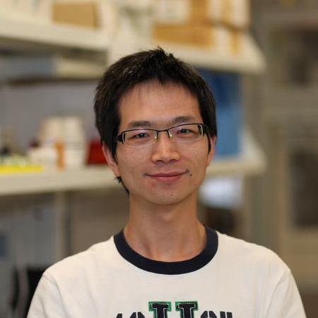 Github Lidaof Eg React Washu Epigenome Browser - Classic High Resolution City Pictures | Free Download