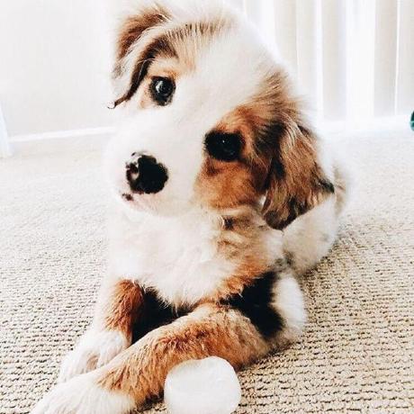 Aeskildsen Anders Eskildsen Github - Professional Minimal Image - 8K