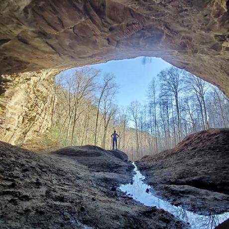 Donahuema Donahue Github - Full HD Nature Backgrounds for Desktop