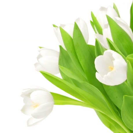 Cio24 Cio Casado Github - Full HD Gradient Images for Desktop