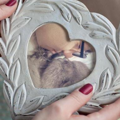 Github Supersuraccoon Cocossvg Html5 A Cocos2d Html5 Implementation - Best Nature Wallpapers in 8K