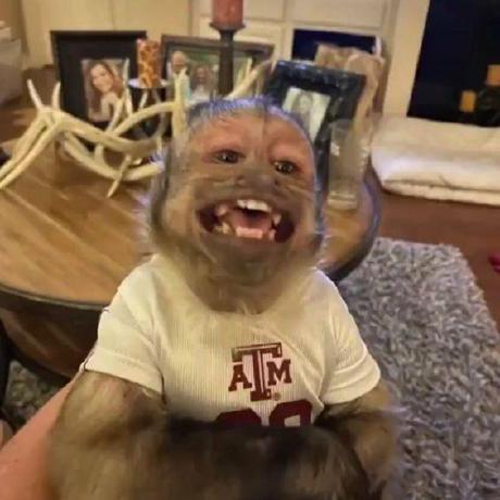 Danielavd24 Daniela Villa Github - Professional HD Dark Arts | Free Download