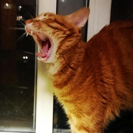 Artscape Hanyang Github - Best Vintage Backgrounds in 8K