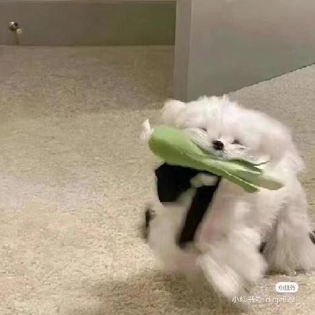 Daooshee Wenjing Wang Github - Premium Space Background Gallery - Retina