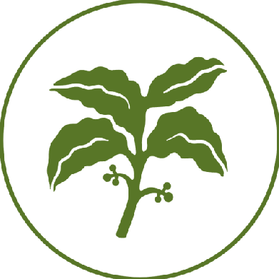 Github Gwamilabs Kns Frontend - Download Amazing Nature Image | 4K