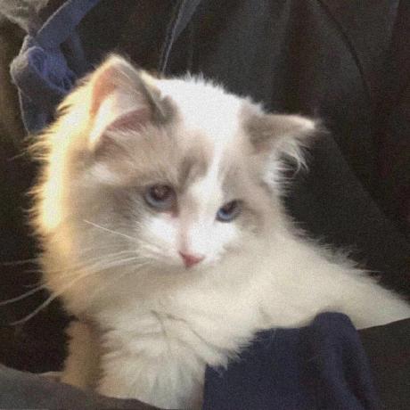 Kimisshao Kimi Github - Dark Art Collection - Ultra HD Quality