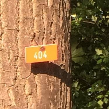 Martinrusev Martin Rusev Github - Light Designs - Incredible Full HD Collection