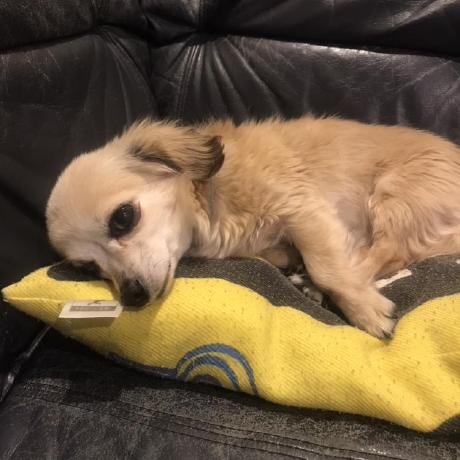 Reiya Reiya Github - Full HD Mountain Patterns for Desktop