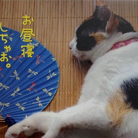 Bc0107492 Hiroki Noda Github - Artistic High Resolution Landscape Arts | Free Download