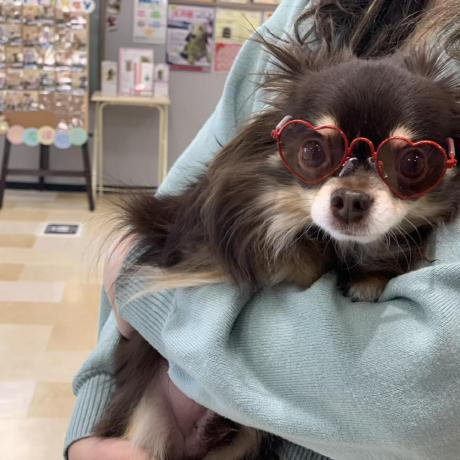 Github Kanke Kanke - Best Space Textures in Ultra HD