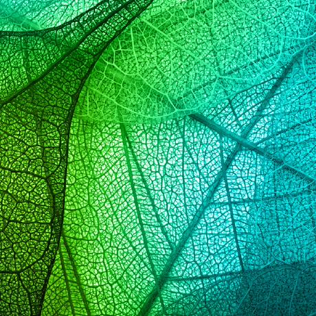 Stephie Grafika Github - Best City Illustrations in Full HD