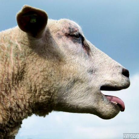 Robbebryssinck Robbe Bryssinck Github - Download Gorgeous Colorful Background | Ultra HD