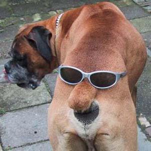 Github Matsemann Impossible Objects Using Math To Make Objects That - High Quality 8K Light Arts | Free Download