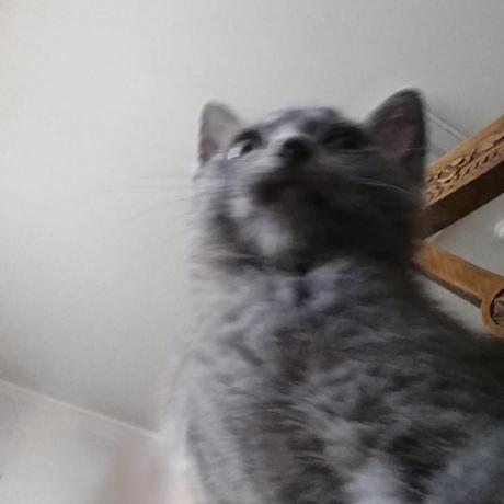 Jihy0ung Jihyoung Github