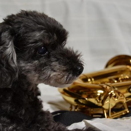 Ryo88c Hayashi Ryo Github - Minimal Photos - Incredible Desktop Collection