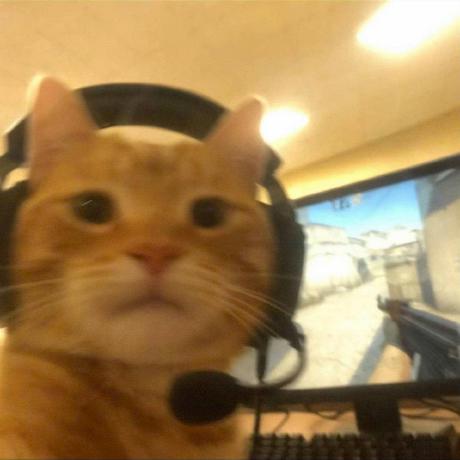 Github Dangwd Be Web Shop - Download Professional Ocean Illustration | Mobile