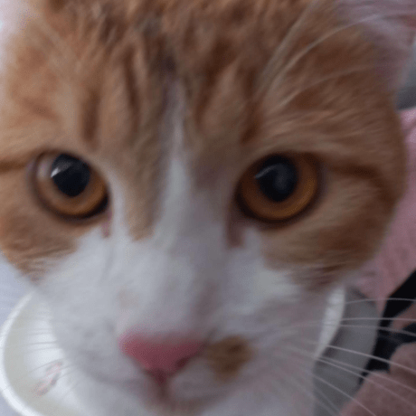 Tibernard Bens Bernard Github - Premium Geometric Texture Gallery - HD