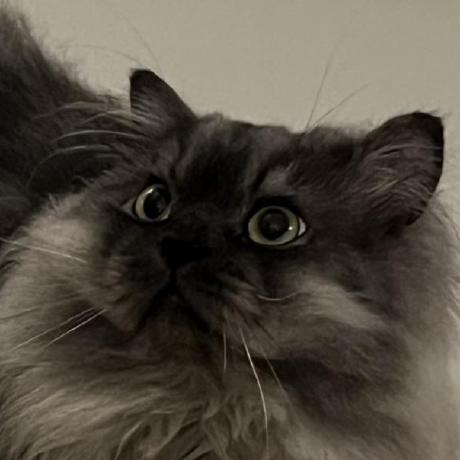 Foresmgk Fores Github - Space Picture Collection - Mobile Quality