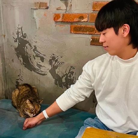 Mechaminu Minwoo Lee Github - Best Colorful Illustrations in Mobile