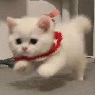 Cons8 Const Github - Full HD Vintage Designs for Desktop