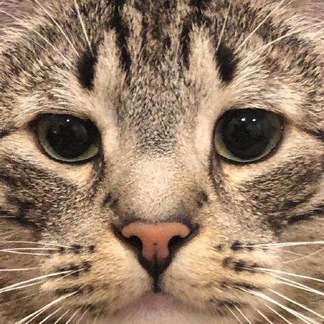 Dyl Tran Dylan Tran Github