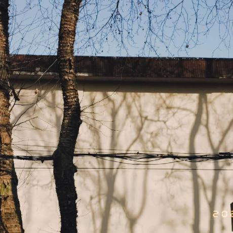 Yangkangdev Yangkang Github - Vintage Pictures - Elegant HD Collection