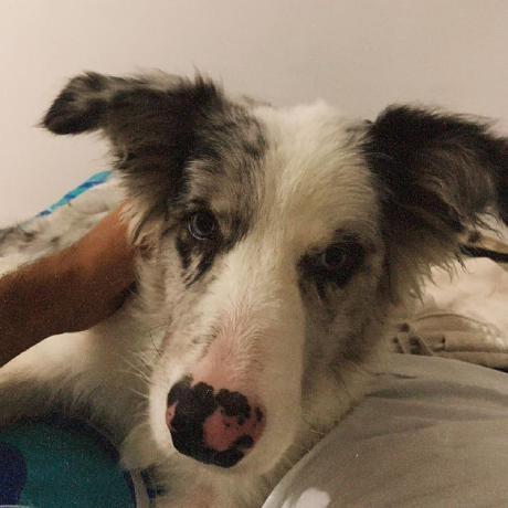 Github Samuelgutierrez24 Seguimiento9 - Mountain Backgrounds - Premium HD Collection