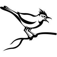 Github Seregadeveloper Cuckoo Sandbox Scripts Some Useful Scripts - Modern 4K Minimal Wallpapers | Free Download