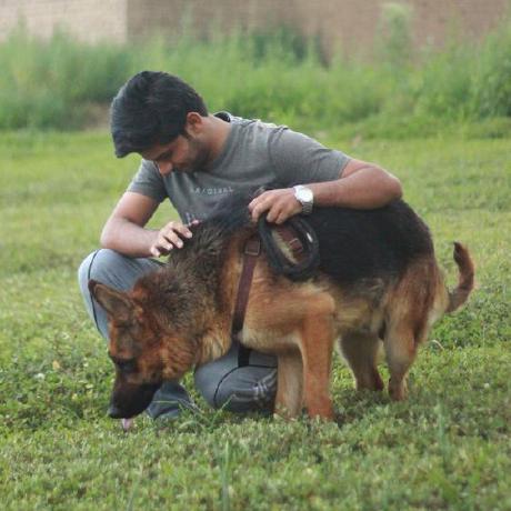 Moosa817 Moosa Github - City Illustration Collection - High Resolution Quality