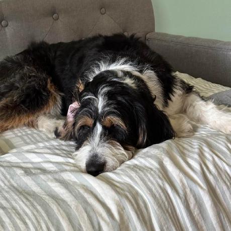 Dahlke Neil Dahlke Github - Best Space Arts in HD