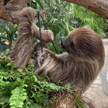 Courses Yusei Ito - Premium Ocean Image Gallery - High Resolution