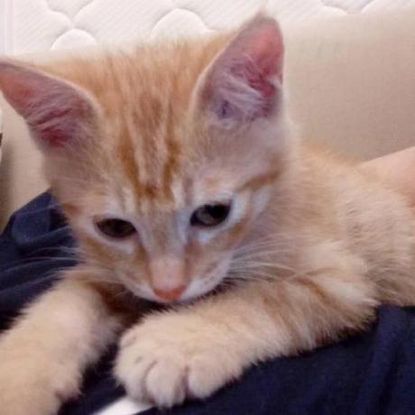 0 Galen Li Github - Premium Light Illustration Gallery - 4K